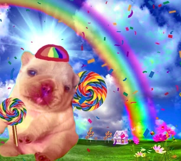 Perrito feliz en un mundo colorido